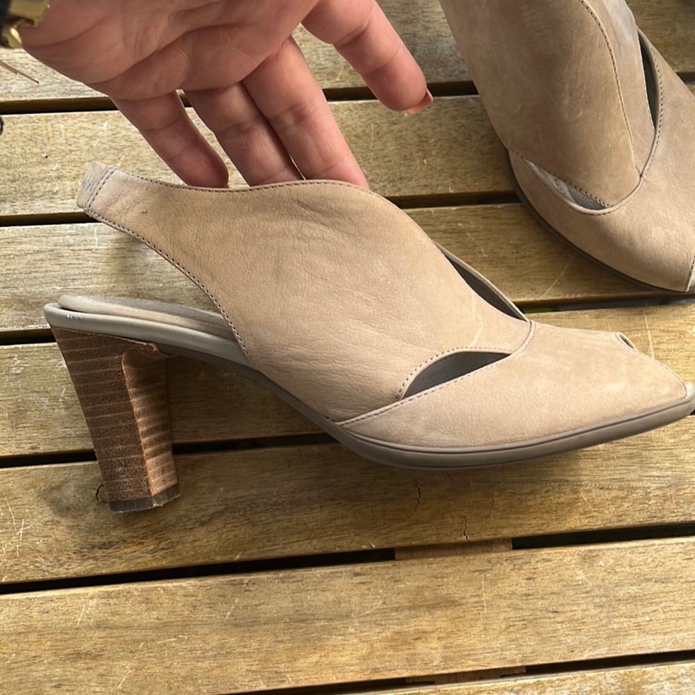 Rockport  shoes